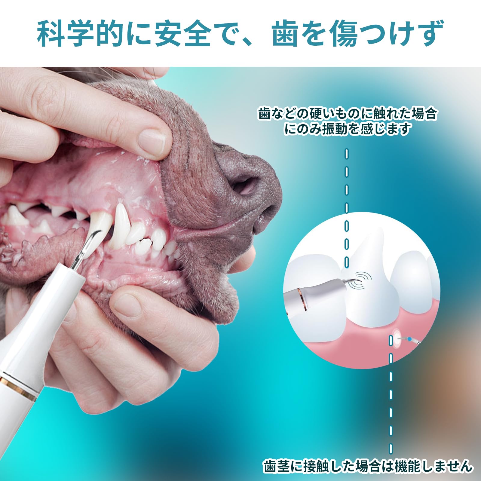 �����ڡڸ���15��OFF�ۡ�Ϣ³��ŷ1�̼��ޡۥڥåȸ��������� ���ѻ��֥饷 Ķ���Ȼ����꡼�ʡ� USB���ż� 5�⡼��Ĵ��� ��¢LED���� ���꡼�˥󥰥��å� �����֥饷 �����֥饷������ ǭ�ѻ��֥饷 ǭ���֥饷 Ķ���� IPX7�ɿ� ǭ��������