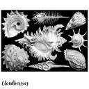 父の日 パズル アート 大人向け Cloudberries アートなパズル ジグソーパズル 1000ピース Shells 大人 おしゃれ 難しい 飾りたい 趣味 遊び インテリア