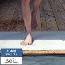 soil 　珪藻土　 父の日 珪藻土 バスマット 日本製 国産 soil BATH MAT large ノンアスベスト 足ふきマット 風呂場 速乾 大きい 大判