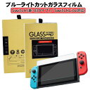 Nintendo Switch専用 画面保護フィルム 有機EL スイッチライト GLASS SCREEN PRO＋ ブルーライトカット 硬度9H 飛散防止 気泡防止 2.5Dラウンドエッジ加工