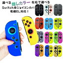 Nintendo Switch ゲームグッズ ジョイコン ソフトカバー Nintendo Switch 通常モデル 有機ELモデル ジョイコンカバー 推し カラー カラフル かわいい デコ 【送料無料】