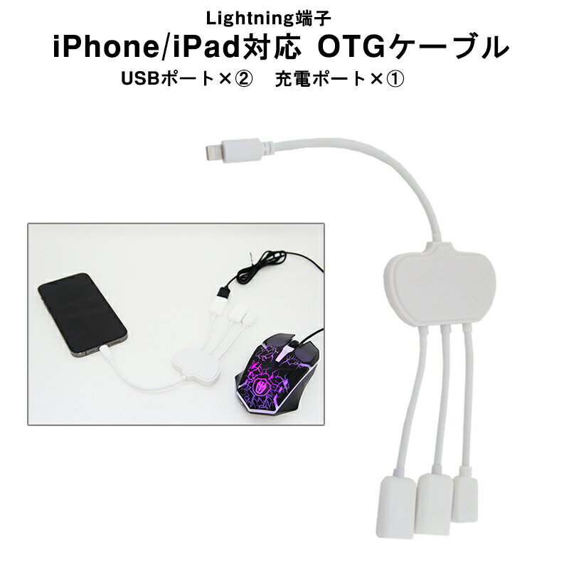 アウトレット 在庫処分品 iPhone iPad対応 OTGケーブル Lightning 給電 USB2ポート ハブケーブル ホワイト