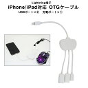 アウトレット 在庫処分品 iPhone iPad対応 OTGケーブル Lightning 給電 USB2ポート ハブケーブル ホワイト