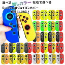ジョイコン ソフトカバー Nintendo Switch 通常モデル 有機ELモデル ジョイコンカバー 推し カラー カラフル かわいい デコ 【送料無料】