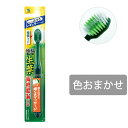 生葉 極幅ブラシ レギュラー(1本入) ふつうorやわらかめ7〜71本までご注文の方はこちら(4)