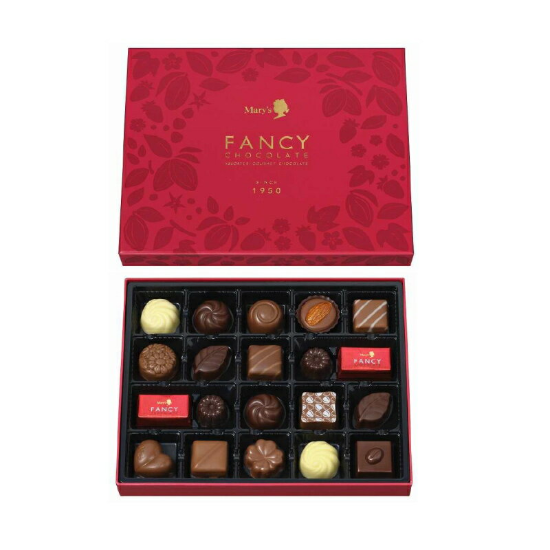 メリーチョコレート FC-IN 20個入り 【NEW】（季節限定 10月～4月）ファンシーチョコレート