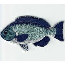 ワッペン「 メジナ 」 可愛いイラストの刺繍ワッペン