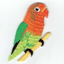 ワッペン「 ボタンインコ 」可愛いイラストの刺繍ワッペン