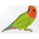 ワッペン「 コザクラインコ 」可愛いイラストの刺繍ワッペン