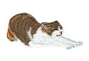 ワッペン「 背伸び猫 」可愛いイラストの刺繍ワッペン