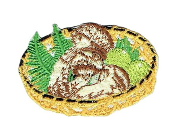Rakuten - ワッペン「 松茸 マツタケ まつたけ 」可愛いイラストの刺繍ワッペン