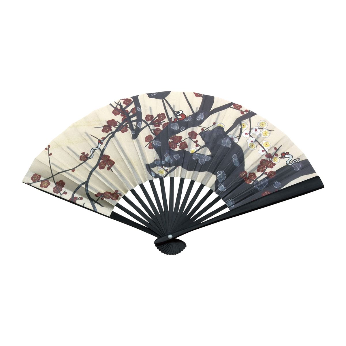 令和7年巳年干支扇子 6寸 黒塗 黒骨 紅白梅に稚児蛇 裏 千家十職 (化粧箱）【メール便対応商品】 裏千家 男子用