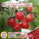 【生産農家厳選品】さくらんぼ(佐藤錦)バラ詰め1kg特秀品(Lサイズ以上)【但し、沖縄県・一部離島へのお届けは別途送料が500円かかります】