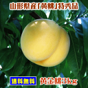 山形県産黄金桃(軟らかい黄桃/特秀品)3kg(但し、沖縄県・離島へのお届けは別途送料が500円かかります)