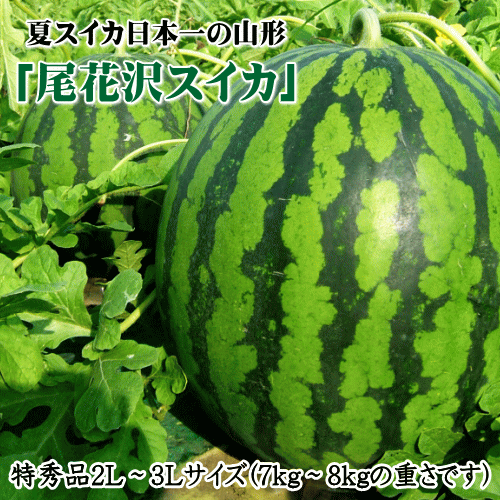山形県産尾花沢スイカ特秀品（2L〜3
