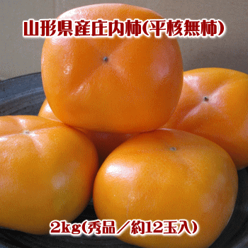 ʿ̵/ʡ122kgյͤڢâ츩ΥؤΤϤξϡ500ߤޤ