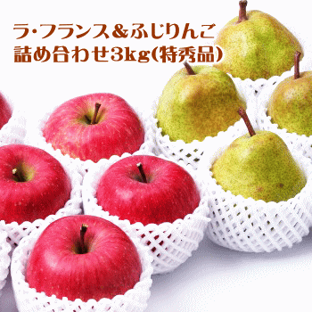 顦ե󥹡դ󤴵ͤ碌ýʡ3kg̵(â츩ΥؤΤϤξ500ߤޤ)ۡڳƼ...