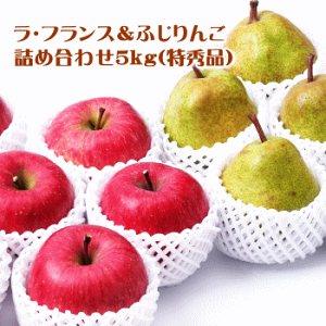 ラ・フランス&ふじりんご詰め合わせ(特秀品)5kg【送料無料(※但し、沖縄県・離島へのお届けの場合は別途送料が500円かかります)】【各種のし対応可】【配達日のご指定可】