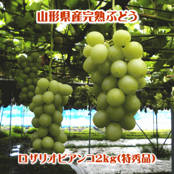 ロザリオビアンコ2kg(特秀品/3〜4房入)※種有り品種です。【但し、沖縄県・一部離島へのお届けは別途送料が500円かかります】