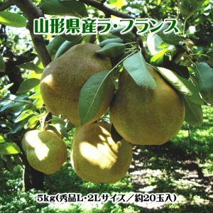 ラ・フランス(秀品)5kg(L・2Lサイズ/約20玉入)【送料無料(※但し、沖縄県・離島へのお届けの場合は、別途送料が500円かかります)】【各種のし対応可】【食べ頃予定日の記載あり】