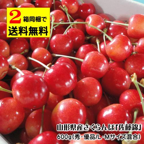 【クール便配達】山形県産さくらんぼ（佐藤錦）600g（秀・優品/L・Mサイズ混合）※2箱以上の同梱で送料無料対応（1箱の場合は送料が別途かかります。また、沖縄県・離島へのお届けは2箱以上の同梱でも送料が別途500円かかります）