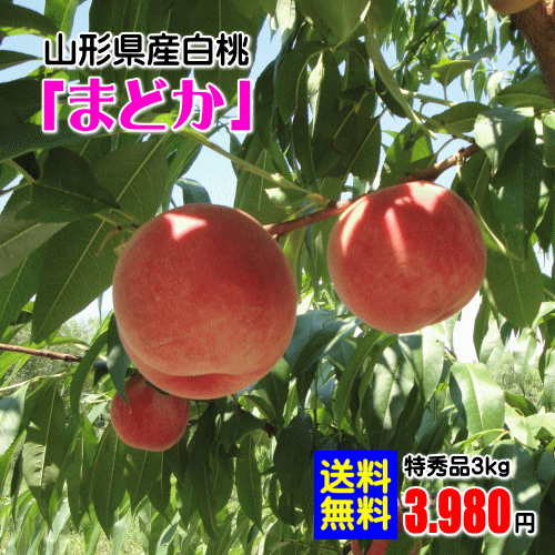 山形県産まどか（硬い白桃/特秀品）3kg(但し、沖縄県・離島へのお届けは別途送料が500円かかります)のサムネイル