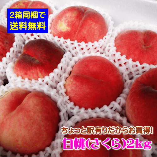 【配達日のご指定不可】【2箱同梱で送料無料】山形県産ちょっと訳有りだからお買得！白桃2kg※対象品種は「さくら（硬めの白桃）」(但し、沖縄県・離島へのお届けは2箱以上の同梱の場合でも別途送料が500円かかります)のサムネイル