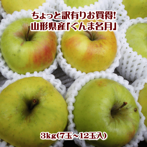 ＼楽天ブラックフライデー開催期間中に使える／【最大1,000円割引クーポン対象品】【小傷品・大きさ不揃い】ちょっと訳有りぐんま名月3kg（7玉〜12玉）【送料無料(※但し、沖縄県・離島へのお届けの場合は、別途送料が500円かかります)】