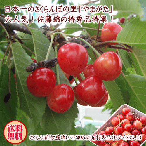 【生産農家厳選品】【クール便配達】山形県産さくらんぼ（佐藤錦）バラ詰め500g特秀品(Lサイズ以上)【但し、沖縄県・一部離島へのお届けは別途送料が500円かかります】のサムネイル