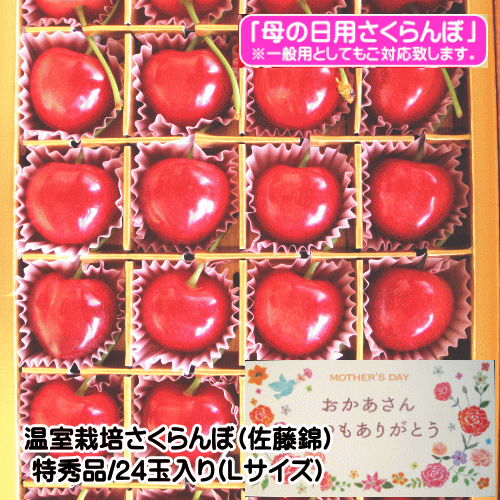 樂天商城 - 山形県産温室栽培さくらんぼ（佐藤錦）特秀品24玉入り（Lサイズ以上）【母の日用】【ご贈答用】【各種熨斗対応可】【配達指定可】【一般でのご対応も可】※尚、沖縄県と離島への配達の場合は、送料が別途500円かかります。