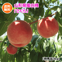 【配達日のご指定は不可となります。】山形県産さくら(硬い白桃/特秀品)3kg(但し、沖縄県・離島へのお届けは別途送料が500円かかります)