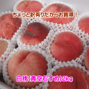 【配達日のご指定不可】山形県産ちょっと訳有りだからお買得!白桃2kg満杯詰め※対象品種は「青空むすめ(やや硬めの白桃)」(但し、沖縄県・離島へのお届けは2箱以上の同梱の場合でも別途送料が500円かかります)