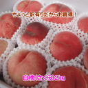 【配達日のご指定不可】山形県産ちょっと訳有りだからお買得!白桃2kg満杯詰め※対象品種は「さくら(硬めの白桃)」(但し、沖縄県・離島へのお届けは2箱以上の同梱の場合でも別途送料が500円かかります)