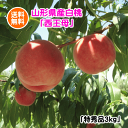【配達日のご指定は不可となります】【9月28日頃までの配達対応】山形県産西王母(軟らかい白桃/特秀品)3kg(但し、沖縄県・離島へのお届けは別途送料が500円かかります)