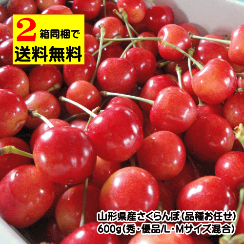 【クール便配達】山形県産さくらんぼ（佐藤錦・紅きらり・紅秀峰など品種お任せ）600g（秀・優品/L・Mサイズ混合）※2箱以上の同梱で送料無料対応（1箱の場合は送料が別途かかります。また、沖縄県・離島へのお届けは2箱以上の同梱でも送料が別途800円かかります）