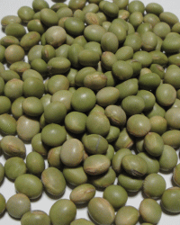 無農薬栽培青大豆「秘伝豆」800g【メール便対応の為、代金引換・配達日・時間帯のご指定は不可となります。商品は郵便ポストへ直接配達となります】のサムネイル