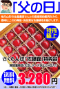【父の日用】温室栽培さくらんぼ(佐藤錦)特秀品24玉入り(L...