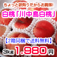 ちょっと訳有りだからお買得！白桃3kg※対象品種は「川中島白桃（軟らかい白桃）」※さらに2箱以上の同梱で送料無料！(但し、九州・沖縄県・離島へのお届けは別途送料が300円かかります)