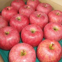 ちょっと訳有りだからお買得!サンふじりんご10kg【送料無料(※但し、九州は200円、沖縄県・離島へのお届けの場合は、別途送料が500円かかります)】