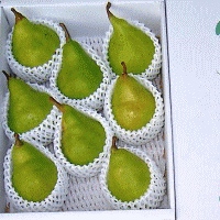 �롦�쥯�������ý��ʡ�3kg������̵��(��â�������츩��Υ��ؤΤ��Ϥ��ξ��ϡ�����������500�ߤ�����ޤ�)��