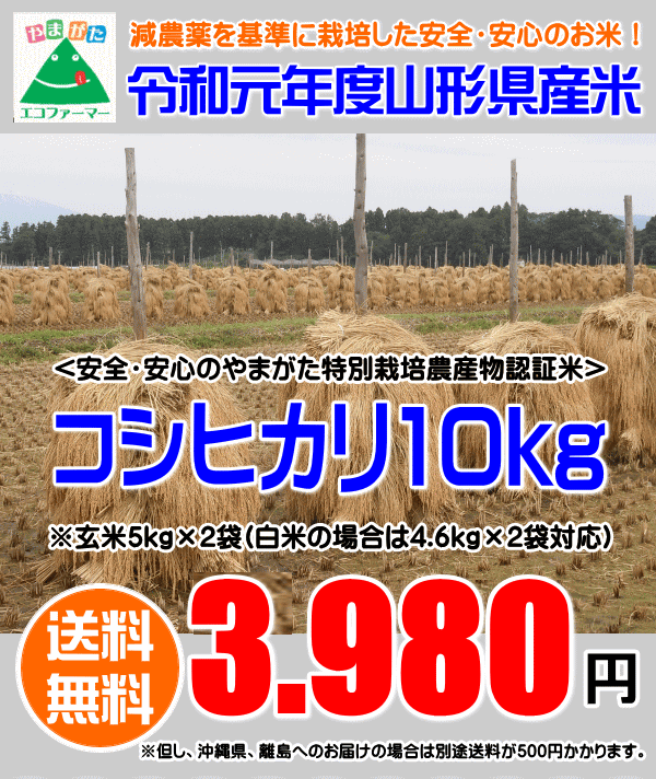 【販売期間限定】令和元年度山形産「コシヒカリ」玄米10kg（5kg×2袋）【やまがた...