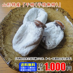 干柿（平核無柿/大きさ不揃い10果入）【メール便対応の為、代金引換・配達日・時間帯のご指定は不可となります。商品は郵便ポストへ直接配達となります】【2袋まで同梱対応可】