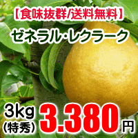 【送料無料】ゼネラルレクラーク3kg（特秀品/大玉約8玉）【(※但し、沖縄県・離島へのお届けの場合は、別途送料が500円かかります)】