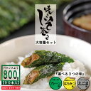【ポイント10倍】しそ巻き 大容量 お得 家庭用 800g 90本入り お中元 送料無料 満足する 焼きしそ巻き ご家庭用 お得 安い ポイント ご飯のお供 おかず おつまみ 珍味 ごはんのお供 お試し グルメ お取寄せ 味噌 しそ 紫蘇 紫蘇巻き 買い周り おかず 宮城県