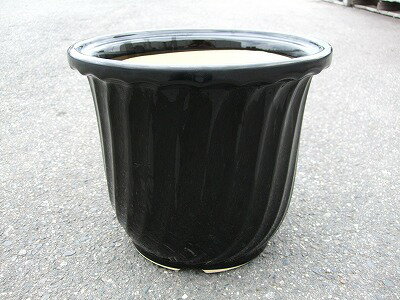 植木鉢1（黒ツヤ） 植木鉢 蘭鉢