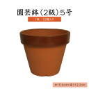 5号園芸鉢(2級)【1束】