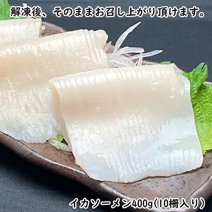 イカソーメン (10柵)400g するめいか 刺身 生食用 冷凍...