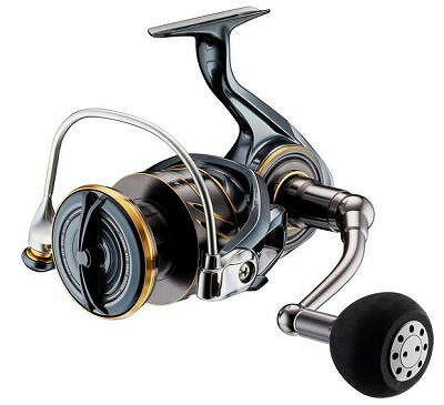 ダイワ 22カルディア SW 4000D-CXH リール 大型スピニング【秋の大感謝祭】