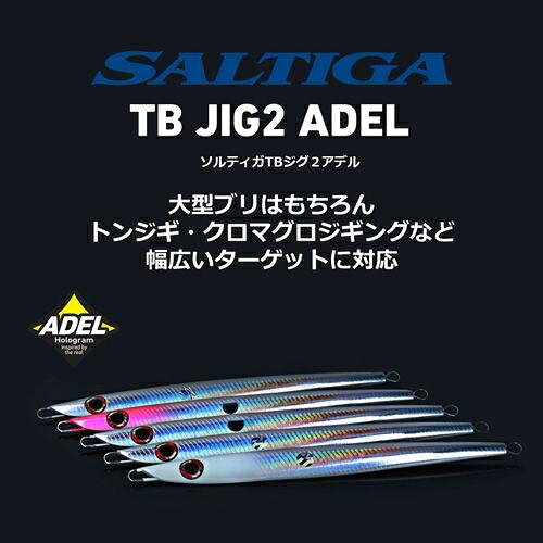 ソルティガTBジグ2アデル 260g GHグリキンシルバー の商品画像3枚目