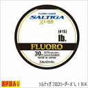 ダイワ ソルティガ フロロリーダーX’LINK30m 仕掛 ショックリーダー（ノーマル） 新春セール